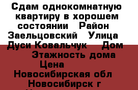 Сдам однокомнатную квартиру в хорошем состоянии › Район ­ Заельцовский › Улица ­ Дуси Ковальчук  › Дом ­ 177 › Этажность дома ­ 5 › Цена ­ 13 000 - Новосибирская обл., Новосибирск г. Недвижимость » Квартиры аренда   . Новосибирская обл.,Новосибирск г.